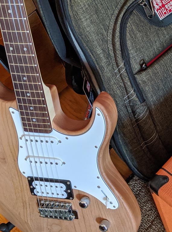 Electric Guitar Buying Guide - What Guitar Should I Buy?
