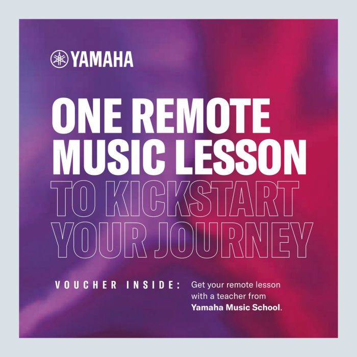 Online Remote Music Lesson 