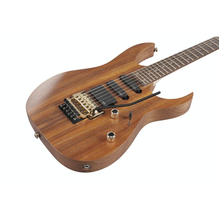 Ibanez RG6PKAG-NTF Premium Electric Guitar, Natural Flat Side Angle