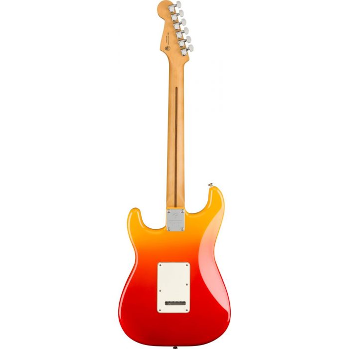 Fender Player Plus Stratocaster MN Tequila Sunrise, rear view