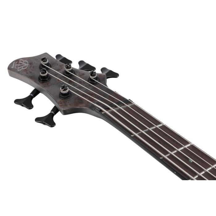 Ibanez Btb805ms Electric Bass Guitar Transparent Gray Flat, headstock front