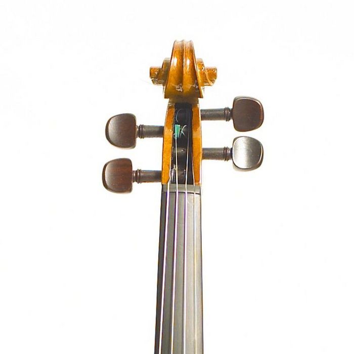 Stentor Violin Outfit Student I 1-64 headstock closeup