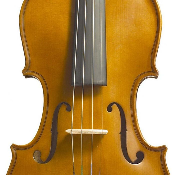 Stentor Violin Outfit Student I 1-64 body closeup