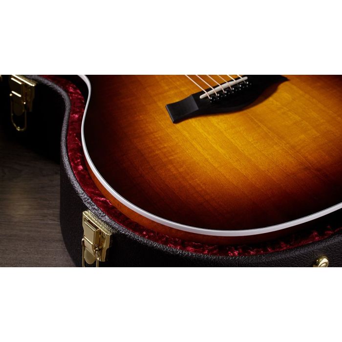 Taylor 224ce-UA DLX Ltd Edition Grand Auditorium, Urban Ash in case closeup