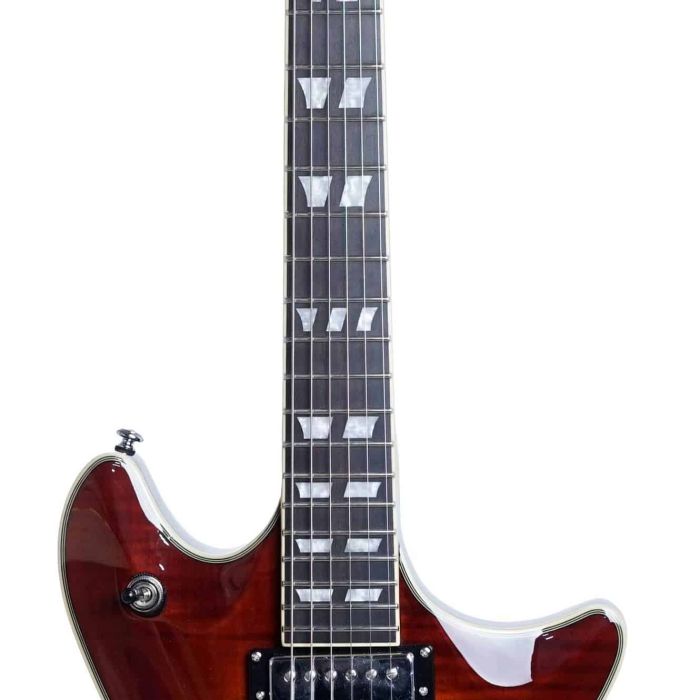 Schecter Tempest Custom (2020) FVSB neck and frets