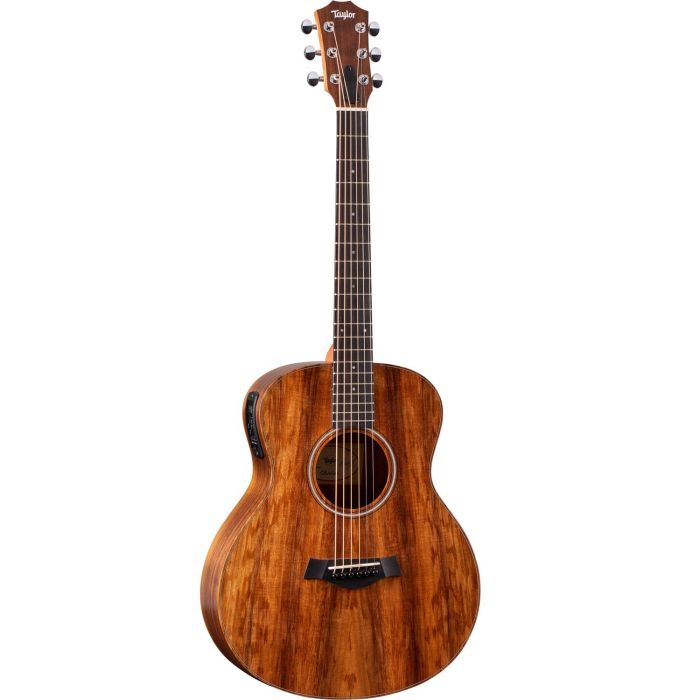 Taylor Gs Mini e Koa, front view