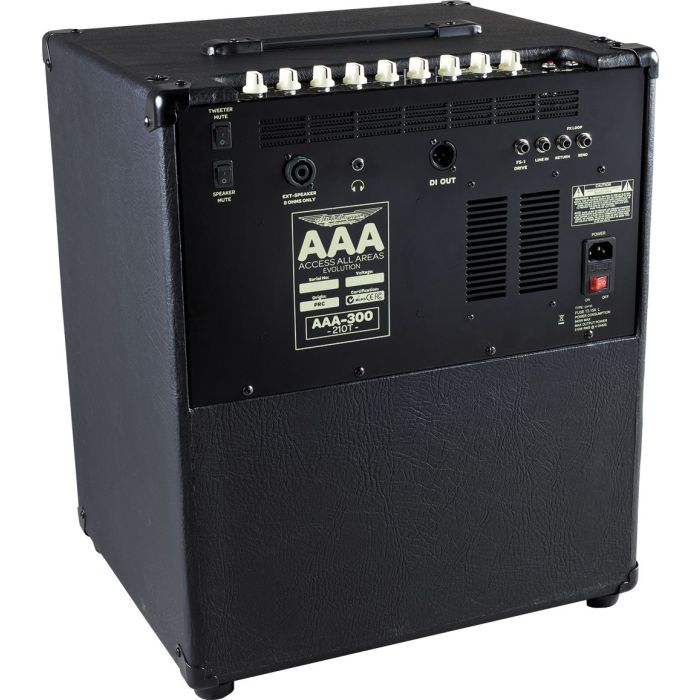 Rear View of Ashdown AAA 300-210T Bass Combo