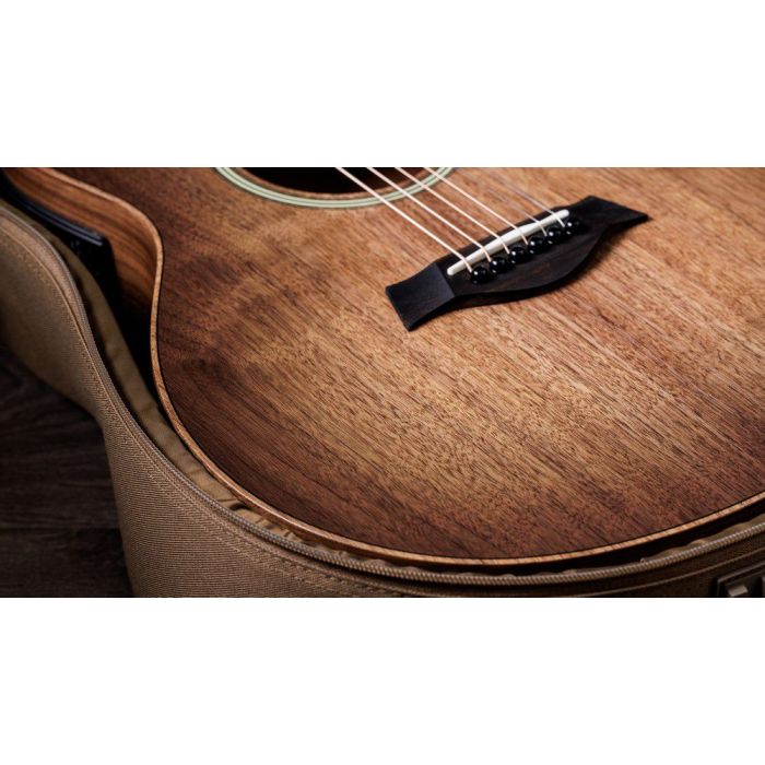 Taylor Special Edition GS Mini-e Electro Acoustic, All Walnut body closeup