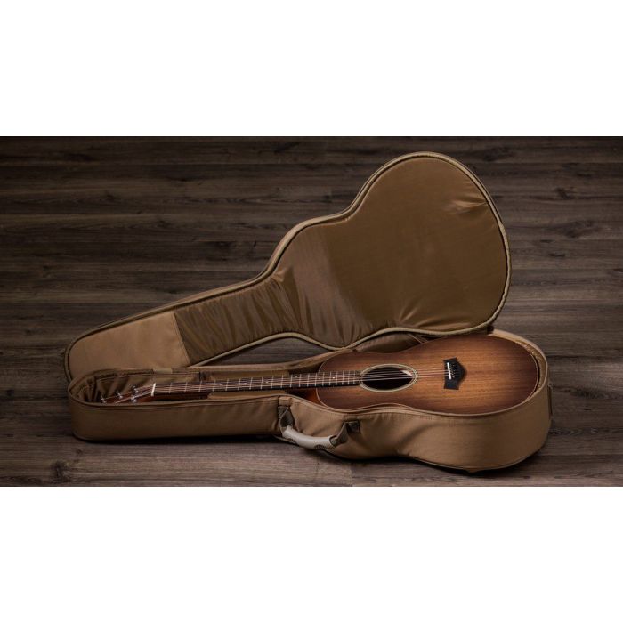 Taylor Special Edition GS Mini-e Electro Acoustic, All Walnut in case