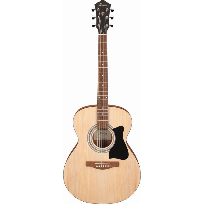 Ibanez Vc50njp opn Open Pore Natural Acoustic, front view