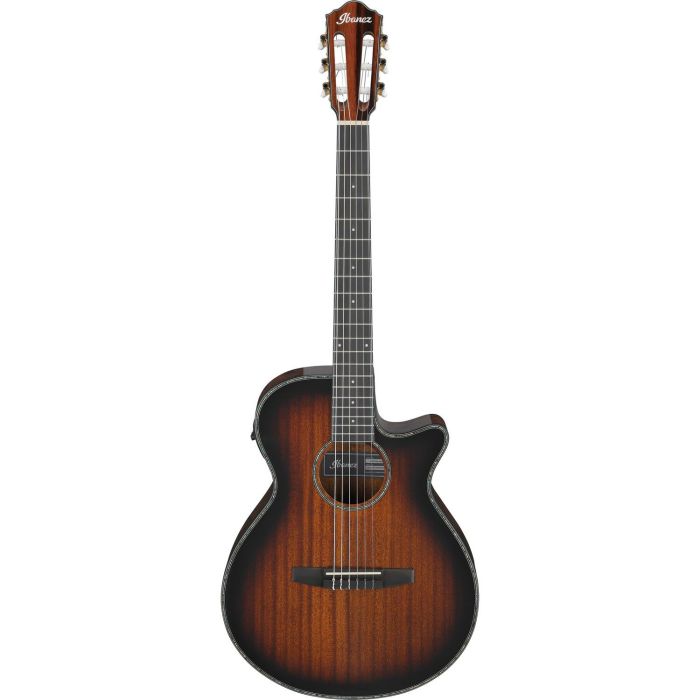 Ibanez Aeg74n mhs Mahogany Sunburst High Gloss Electro acoustic Guitar, front view