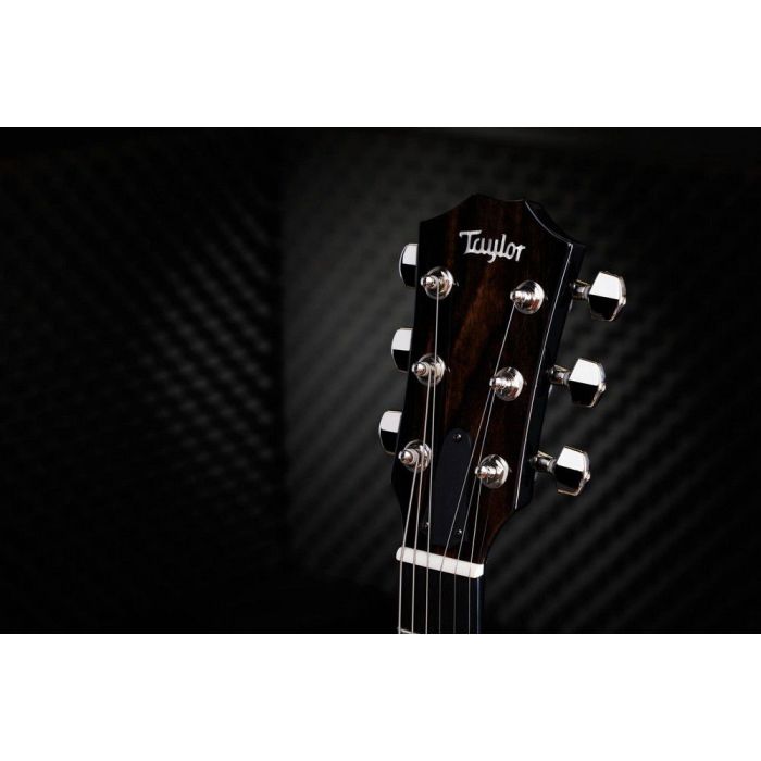 Taylor Cystom #37 T5z, Smoky Maple/Urban Ash, Midnight Sapphire headstock front