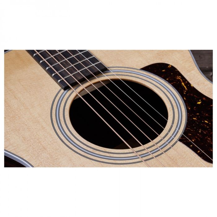 Taylor 212ce Plus Electro Acoustic Guitar sound hall