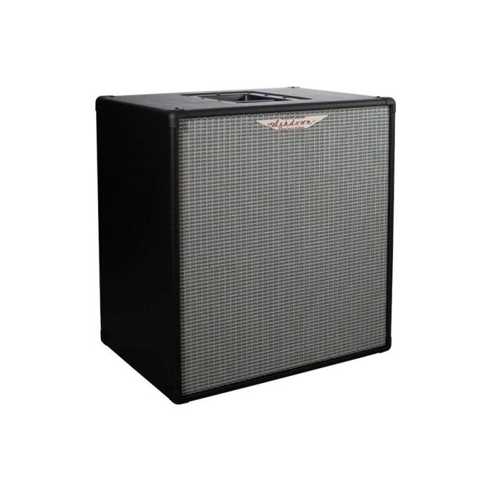 Ashdown Rm 210t evo Iii Bass Speaker Cabinet, right angled view