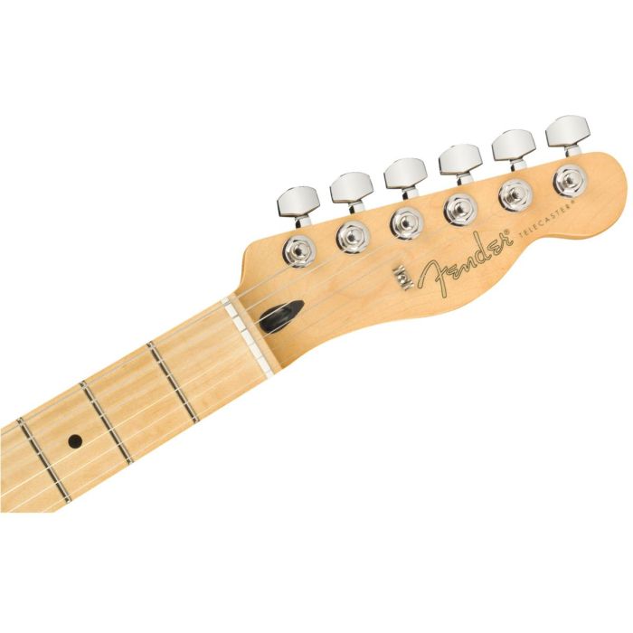 Front view of the headstock on a Fender Player Telecaster MN Butterscotch Blonde