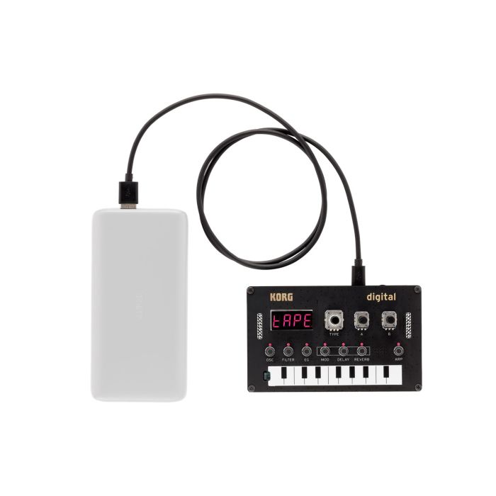 Korg NuTekt NTS-1 with Power Bank (power bank not included)