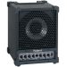 RolandCM30CubeComboMonitorSpeaker