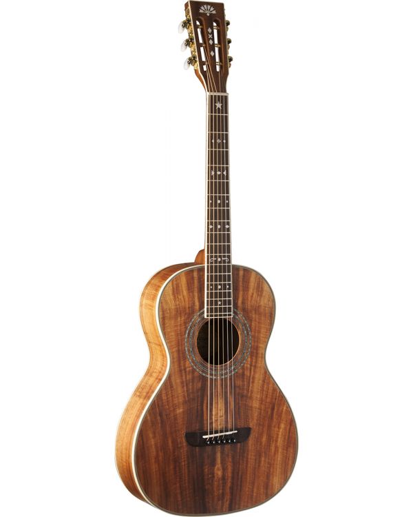 Washburn WP55NS Parlour Acoustic Guitar