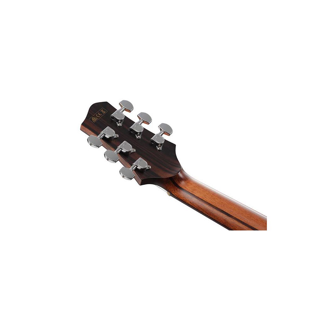 Ibanez PA300E Natural Satin Top guitare électro-acoustique