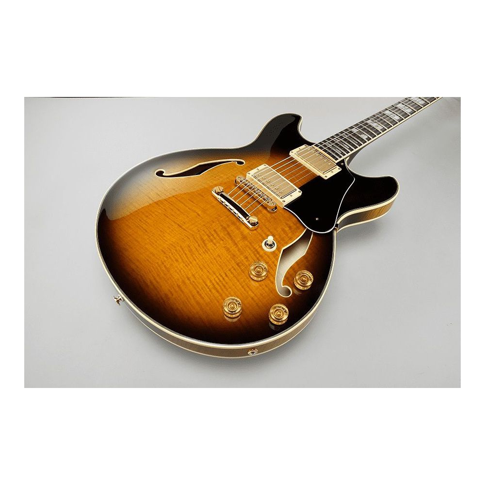 Ibanez JSM100 John Scofield Signature Guitar, Vintage Sunburst
