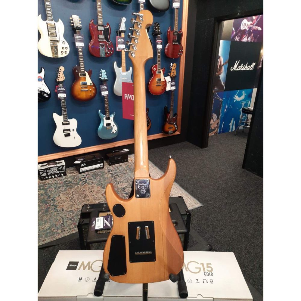 Washburn g15v store