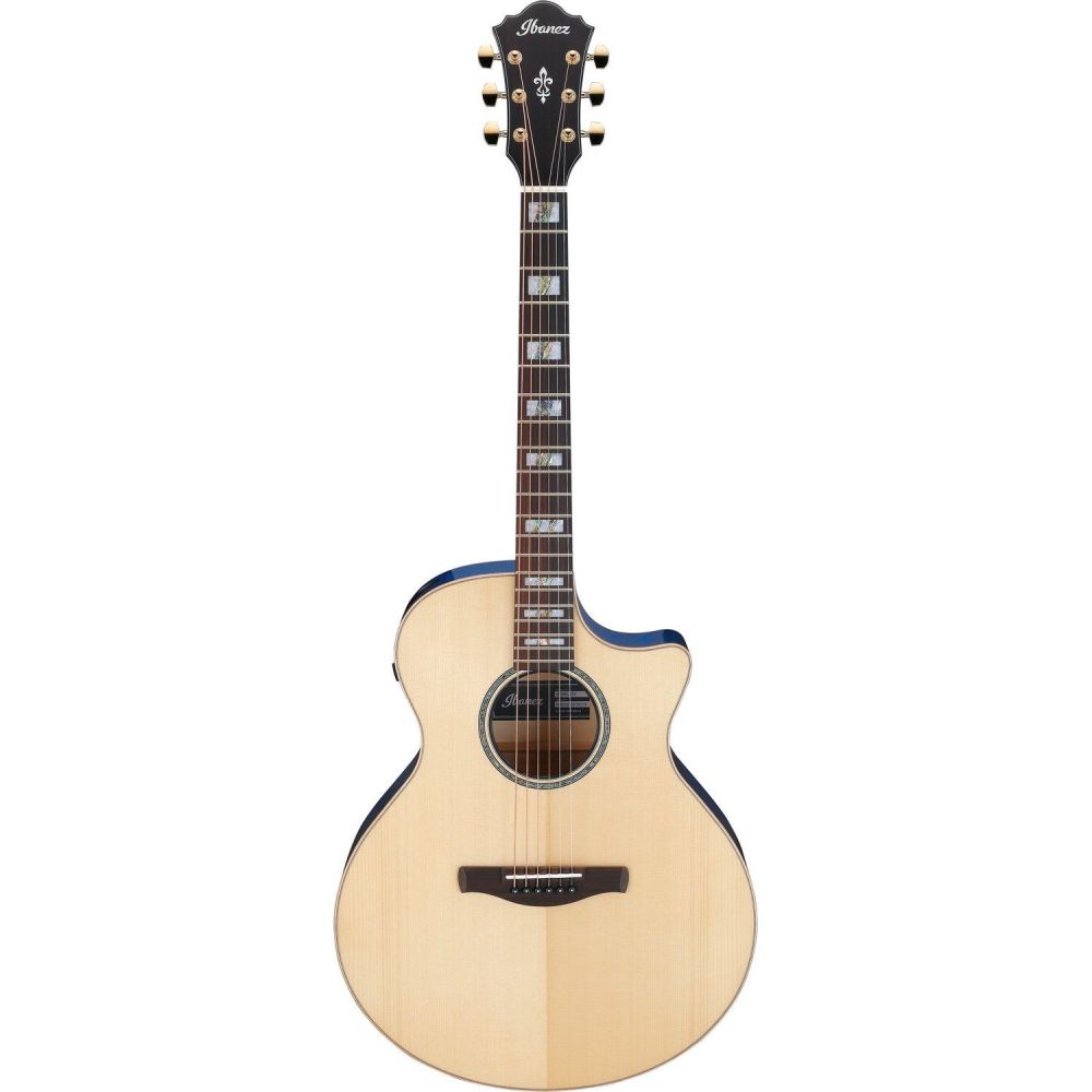 Ibanez MRC10-NT, Ibanez Artist Acoustic Guitar