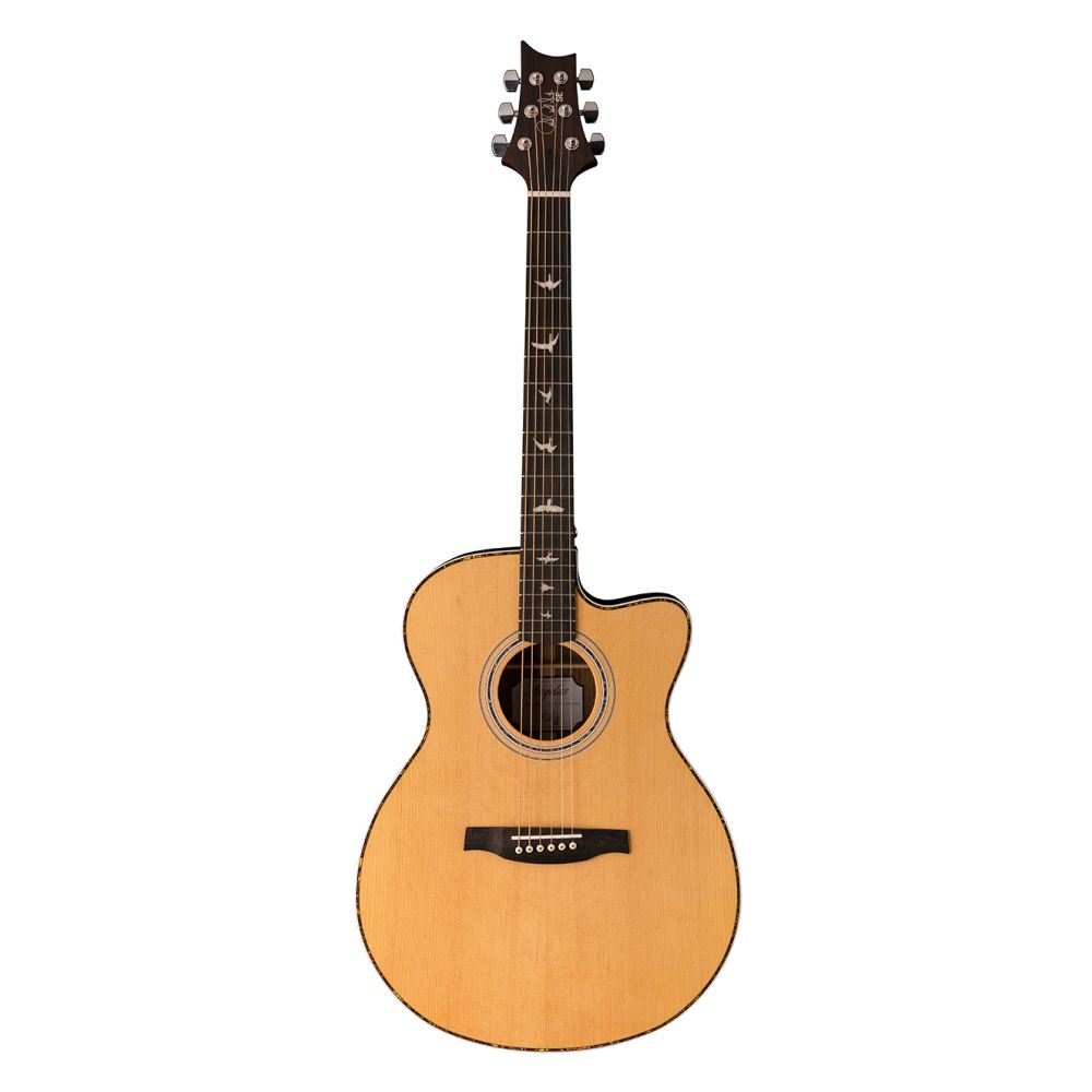 Acoustic guitar deals with bird inlays